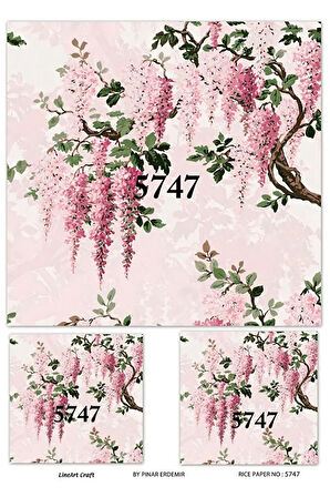 5747 Pirinç Dekopaj 30*42 cm