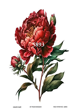 5893 Pirinç Dekopaj 30*42 cm