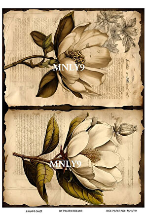 Manolya Serisi MNLY9 Pirinç Dekopaj 30*42 cm