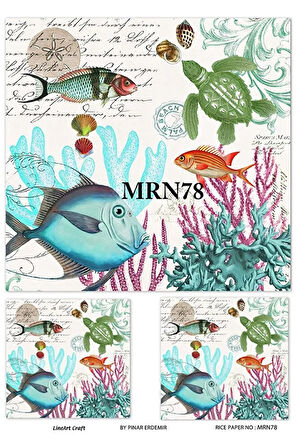 Mrn78 Marine Serisi, Balık, Mercan, Kaplumbağa Desen Pirinç Dekopaj 30x42