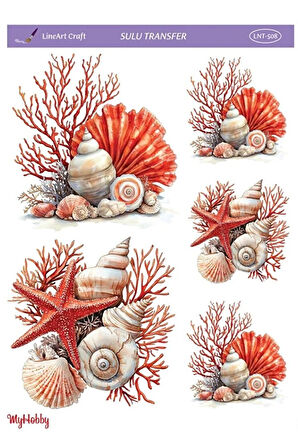 LNT508 Marine Desen, Deniz Kabukları, Mercan Açık Zemin Sulu Transfer 25*35 cm