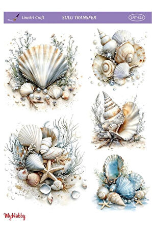 LNT522 Marine Desen, Deniz Kabukları, İstiridyeler Açık Zemin Sulu Transfer 25*35 cm