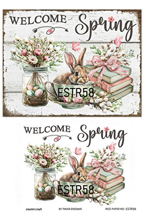 Paskalya Serisi ESTR58 Tavşan Desenli 29*42 cm Pirinç Dekopaj