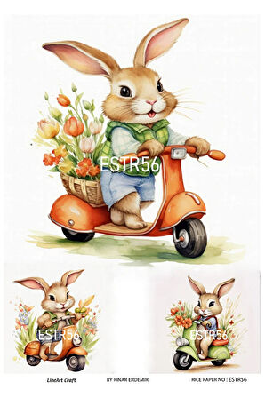 Paskalya Serisi ESTR56 Tavşan Desenli 29*42 cm Pirinç Dekopaj
