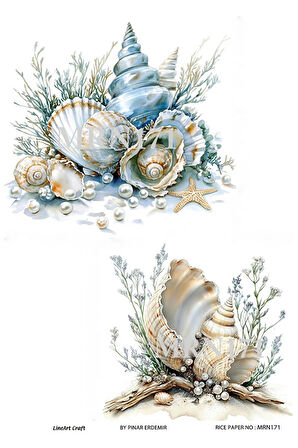 Marine Serisi MRN171 Deniz Kabukları Desenli 29*42 cm Pirinç Dekopaj