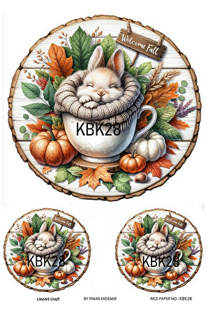 Kabak Serisi Halloween, Kabak, Pumpkin KBK28 Pirinç Dekopaj 30*42 cm