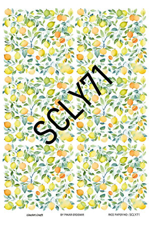 Sicilian Serisi SCLY71 Pirinç Dekopaj 30*42 cm