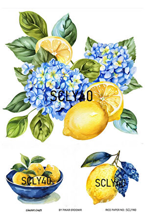 Sicilian Serisi SCLY40 Pirinç Dekopaj 30*42 cm
