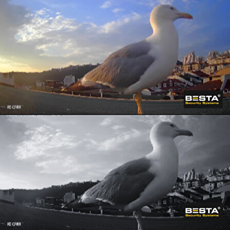 ARNA 5 MP LENS 2MP 1080P FULL HD İÇ MEKAN DOME GÜVENLİK KAMERA SETİ 500 GB HDD DAHİL - ST24500K