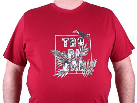 Starbattal Büyük Beden Sıfır Yaka Tişört Tropical 23114 BORDO