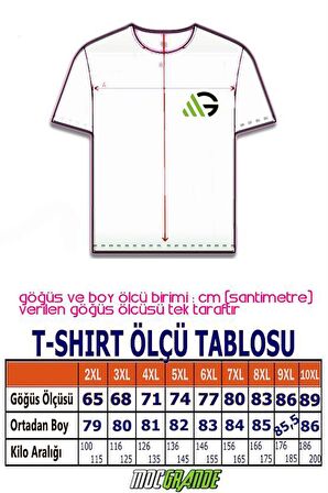 Starbattal Erkek Büyük Beden Sıfır Yaka Tişört LDN 23183 SAKS