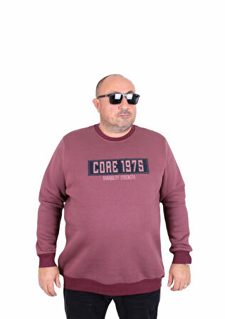 Starbattal Erkek Büyük Beden Sıfır Yaka 3ip Sweat Core 1975 24209 Eflatun