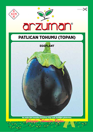 TOPAN PATLICAN TOHUMU 10 GR ORT 2000 AD TOHUM