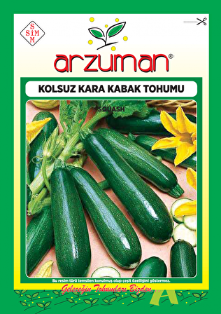 KOLSUZ KARA KABAK TOHUMU 10 GR ORT 75 AD TOHUM