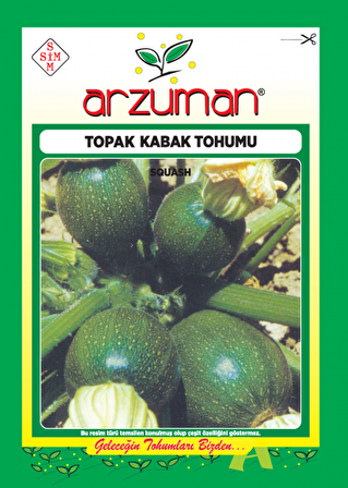 SİYAH TOPAK KABAK TOHUMU 10 GR ORT 75 AD TOHUM