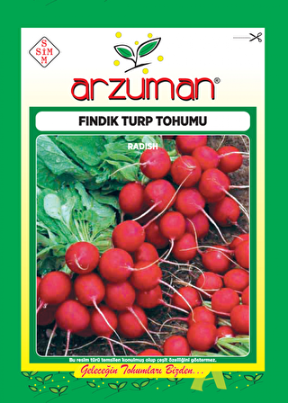 FINDIK TURP TOHUMU 25 GR 0RT 2250 AD TOHUM