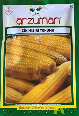 PATLAYAN MISIR (CİN MISIR) TOHUMU 25 GR