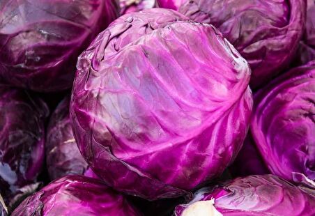 Yerli Kırmızı Lahana Tohumu 10 Gr (Ort 2000 Ad Tohum)
