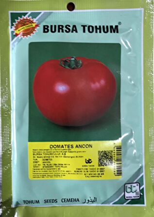 DOMATES TOHUMU ANCON 25 GR ORT 10000 ADET TOHUM
