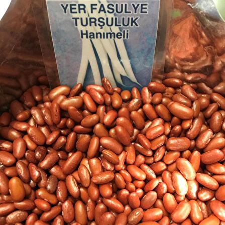 YERLİ OTURAK TURŞULUK FASULYE TOHUMU 100 GR (HANIMELİ)