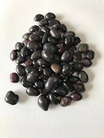 YERLİ UZUN ENLİ TURŞULUK FASULYE TOHUMU 500 GR (MOR)