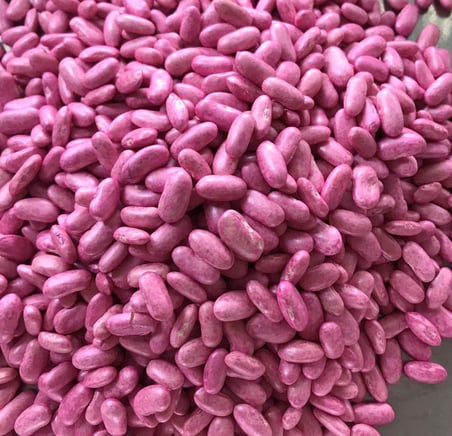 SIRIK ALMAN AYŞE FASULYE TOHUMU 500 GR (İLAÇLI)