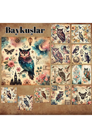 Baykuşlar Vintage 12 Adet Scrapbook Bullet Journal Mat Planlayıcı Sticker Etiket Seti