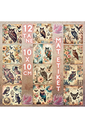 Baykuşlar Vintage 12 Adet Scrapbook Bullet Journal Mat Planlayıcı Sticker Etiket Seti