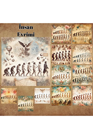 İnsan Evrimi Vintage 12 Adet Scrapbook Bullet Journal Mat Planlayıcı Sticker Etiket Seti