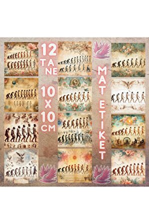 İnsan Evrimi Vintage 12 Adet Scrapbook Bullet Journal Mat Planlayıcı Sticker Etiket Seti