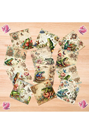 Kurbağalar Vintage 12 Adet Scrapbook Bullet Journal Mat Planlayıcı Sticker Etiket Seti