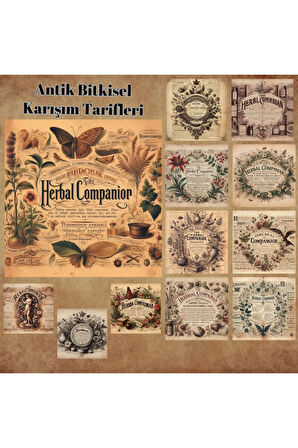 Antik Bitkisel Karışım Tarifleri Vintage 12 Adet Scrapbook Bullet Journal Mat Planlayıcı Sticker