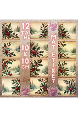 Yılbaşı Kokinalı Manzaralar Vintage 12 Adet Scrapbook Bullet Journal Mat Planlayıcı Sticker Etiket