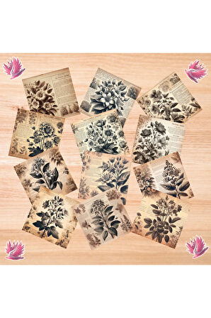 Botanik Kitabı Vintage 12 Adet Scrapbook Bullet Journal Mat Planlayıcı Sticker Etiket Seti