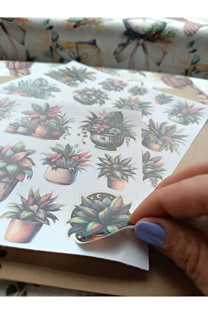 Vintage Scrapbook Ev Tipi Salon Saksı Çiçekleri Etiket Seti, Bullet Journal, Planlayıcı Sticker