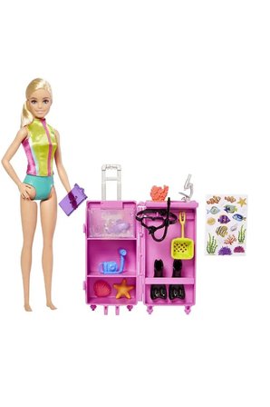 Barbie Hmh26 Deniz Biyoloğu Oyun Seti