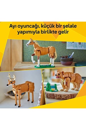 Lego ® Creator 3'Ü 1 Arada Güzel At 31166 - 9+ Çocuklar Için Yaratıcı Oyuncak Yapım Seti (685P)