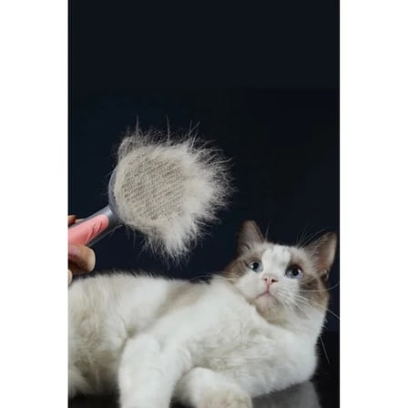 USLUCAN ALIŞVERİŞ Otomatik Tuşlu Kendini Temizleyen Kedi Köpek Tarağı