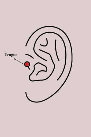 USLUCAN ALIŞVERİŞ 316L Çelik Gümüş Renk Zirkon Taşlı Mavi Boncuk Detay Tragus Piercing