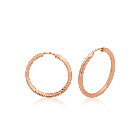 STİLLOVE ​Gümüş Rose Küçük Burgu Halka Küpe