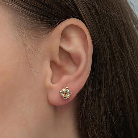 STİLLOVE Gümüş Renkli Dorika Kadın Çivili Küpe