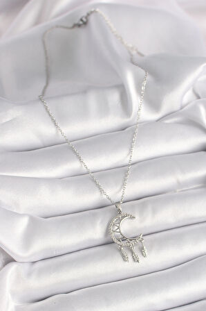 STİLLOVE 316L Çelik Gümüş Renk Zincir Zirkon Taşlı Hilal Model Sallantı Yaprak Detay Kadın Kolye