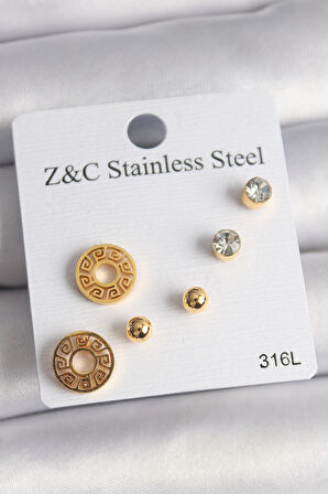 STİLLOVE 316L Çelik Gold Renk Zirkon Taşı Labirent Model Kadın Küpe Seti