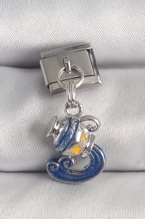 316L Çelik Gümüş Renk Sallantı Kova Burç Model Nomination Charm