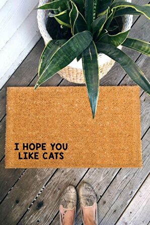 I Hope You Like Cats Paspas