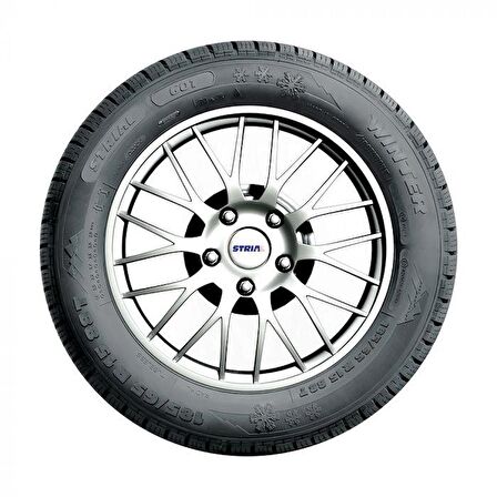 175/70R14 84T 601 WINTER