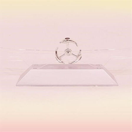 Sylar Dekoratif Masa Üstü Obje Manyetik Kinetik Orbital Dönen Yunuslar