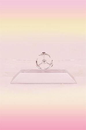 Sylar Dekoratif Masa Üstü Obje Manyetik Kinetik Orbital Dönen Yunuslar