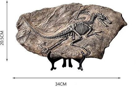 Vintage Dinozor Fosil Reçine Heykeli Retro Tarzda Minyatür Kapalı Alan Dekorasyonu ve Koleksiyon Parçası Eşsiz Hediyelik ve Hatıra Objeleri