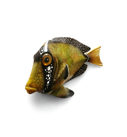 El Yapımı Dekoratif Renkli Duvar Süsü Balık Deniz ve Doğa Temalı Duvar Süsü Ev, Ofis, Kafe, Restoran ve Yazlık Dekorasyon Duvar Aksesuarı